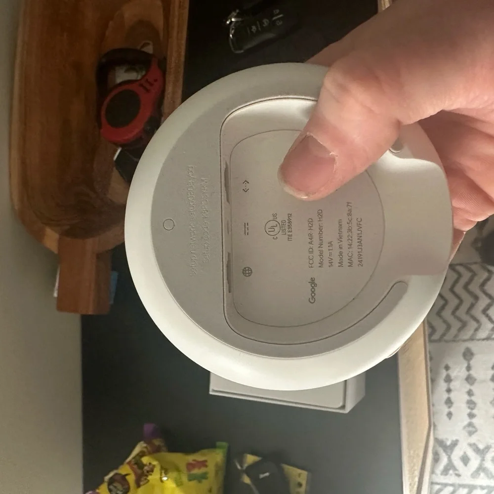 Google nest pods